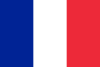 Rouge - rosier grimpant, rosier grimpant - Amadeus® - Vente de rosiers en ligne pharmarosa.fr